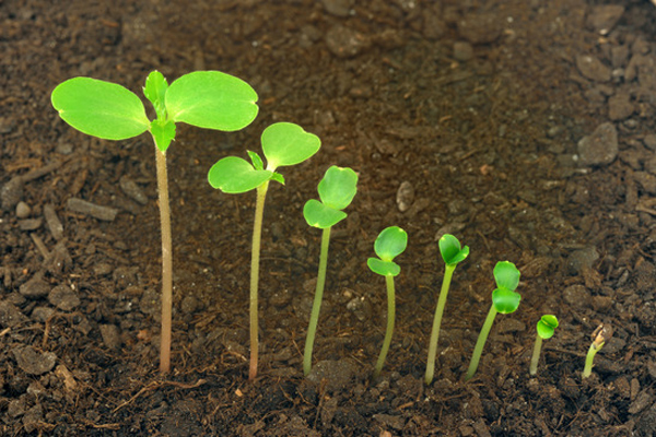Facebook Marketing Trends for 2014
