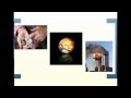 Mallowstreet - Pensions Social Media